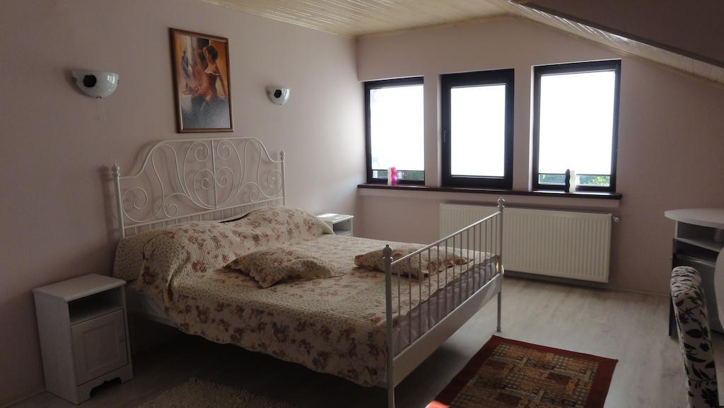 Vila Europa Sărata-Monteoru Rum bild